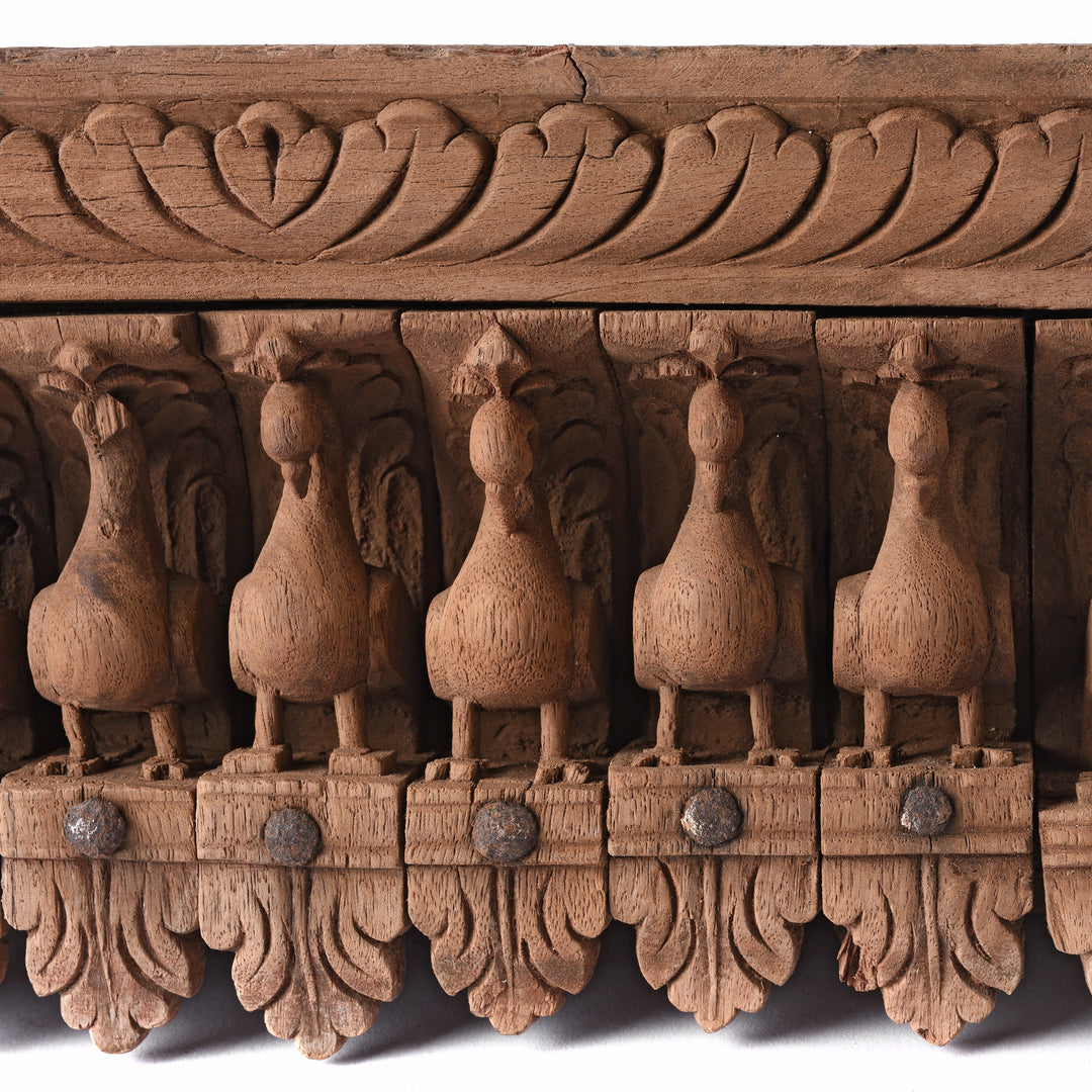 Peacock Detail From Carved Teak Peacock Panel - 19thC | Indigo Antiques
