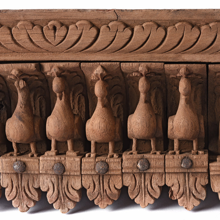 Peacock Detail From Carved Teak Peacock Panel - 19thC | Indigo Antiques