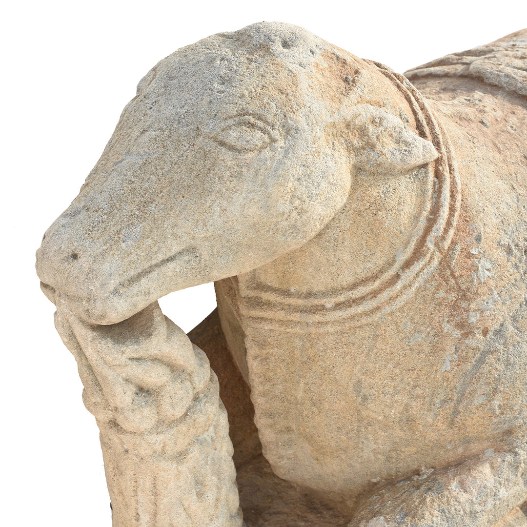 Face Detail From Carved Stone Indian Nandi Bull From Gujarat - 17th / 18thC | Indigo Antiques