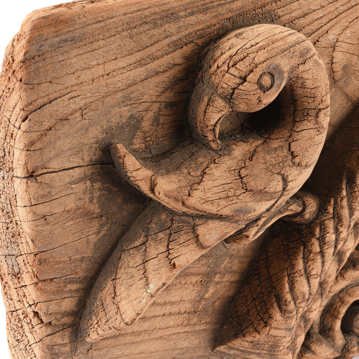 Peacock Detail From Antique Carved Teakwood Panel From  Andra Pradesh - 18th Century | Indigo Antiques