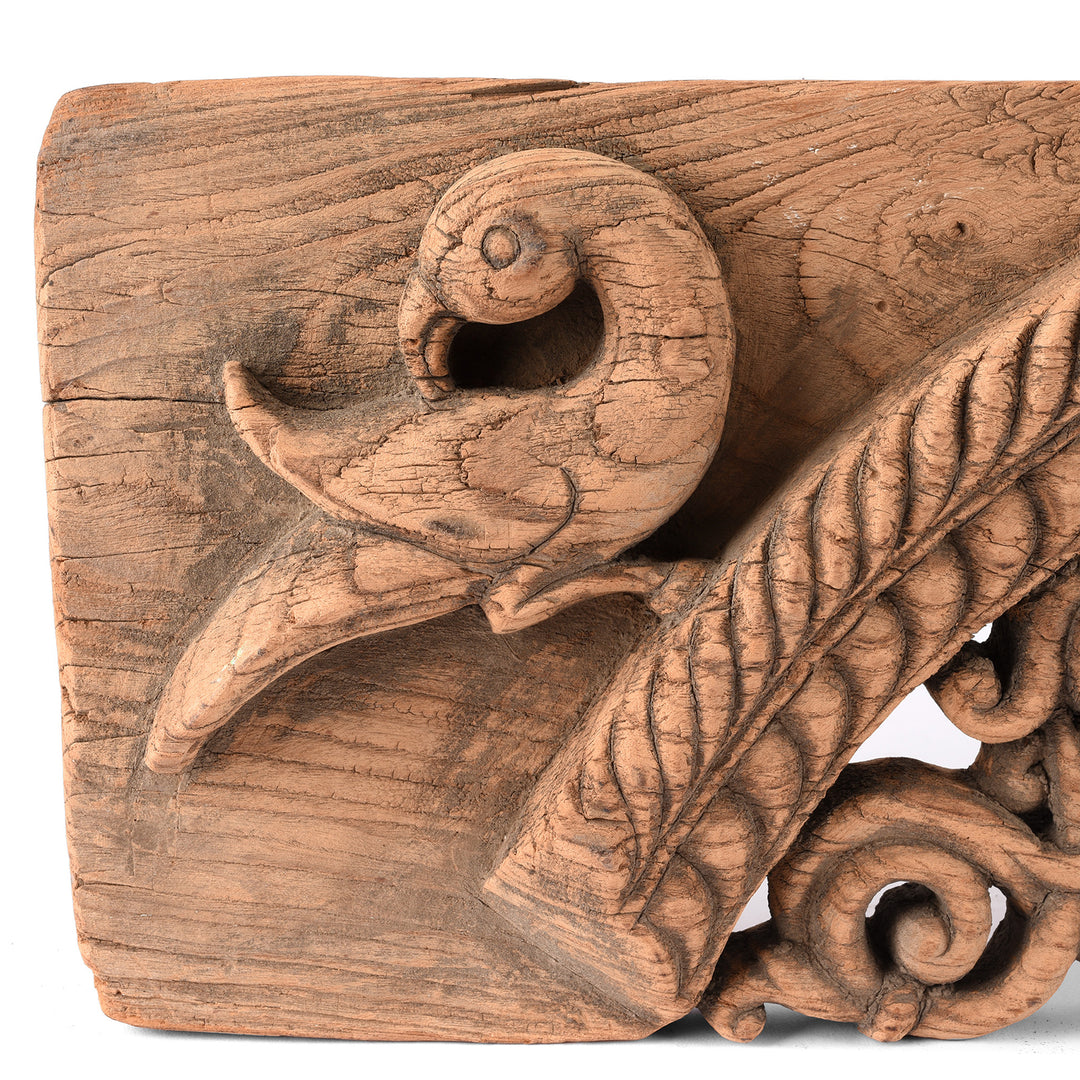 Peacock Detail From Antique Carved Teakwood Panel From  Andra Pradesh - 18th Century | Indigo Antiques