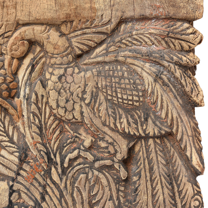 Carving Detail From Carved Peacock Panel From A Ratha Yatra Chariot - 19thC | Indigo Antiques