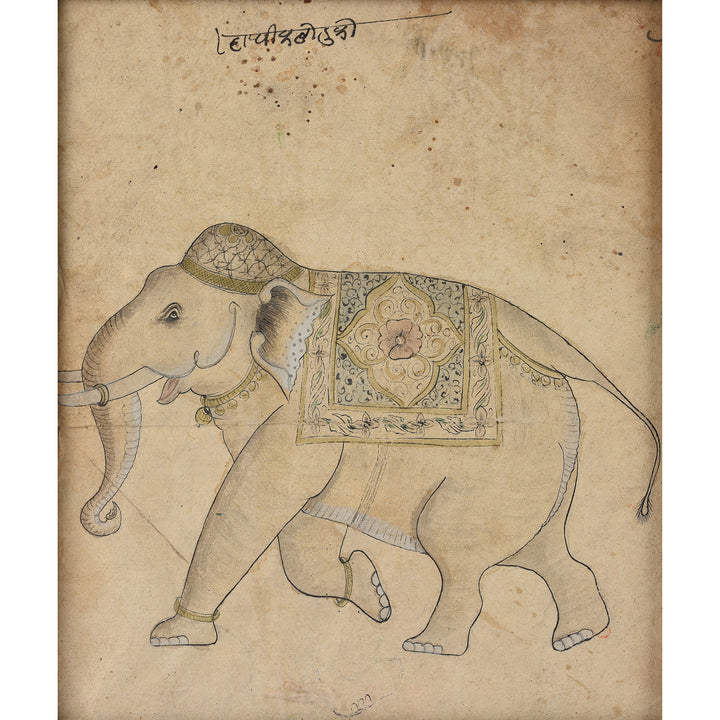 Framed Pen And Ink Sketch Of An Elephant - Ca 1900 | Indigo Antiques