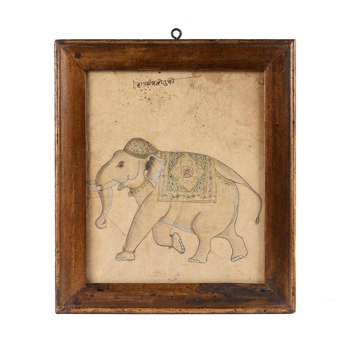Framed Rajasthani School Portrait of an Elephant - 19th Century | Indigo Antiques