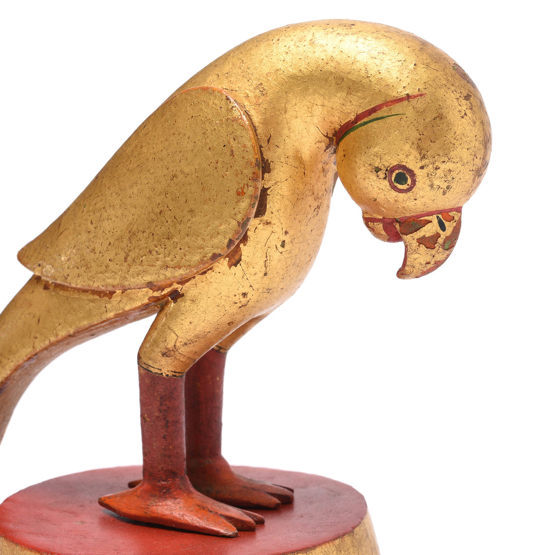 Detail From A Carved And Gilded Teak Parrot From Bikaner - Circa 1920 | Indigo Antiques