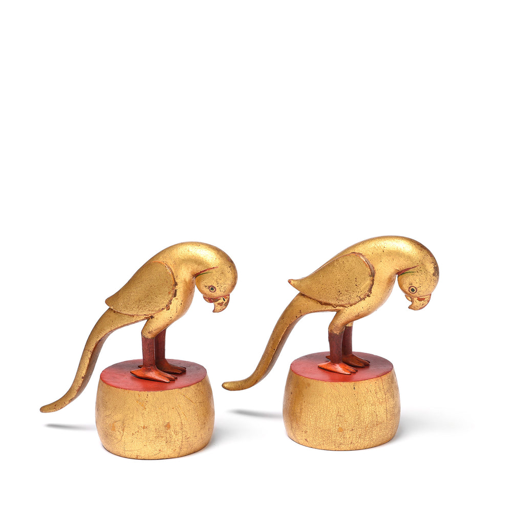 Pair Of A Carved And Gilded Teak Parrot From Bikaner - Circa 1920 | Indigo Antiques