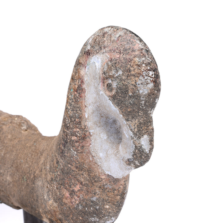 Detail From Stone Parrot Turban Hanger From Dungapur - 19thC | Indigo Antiques