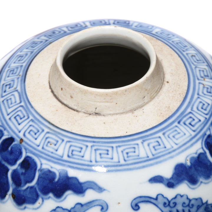 Detail From Blue & White Porcelain Ginger Jar - Peacocks | Indigo Antiques