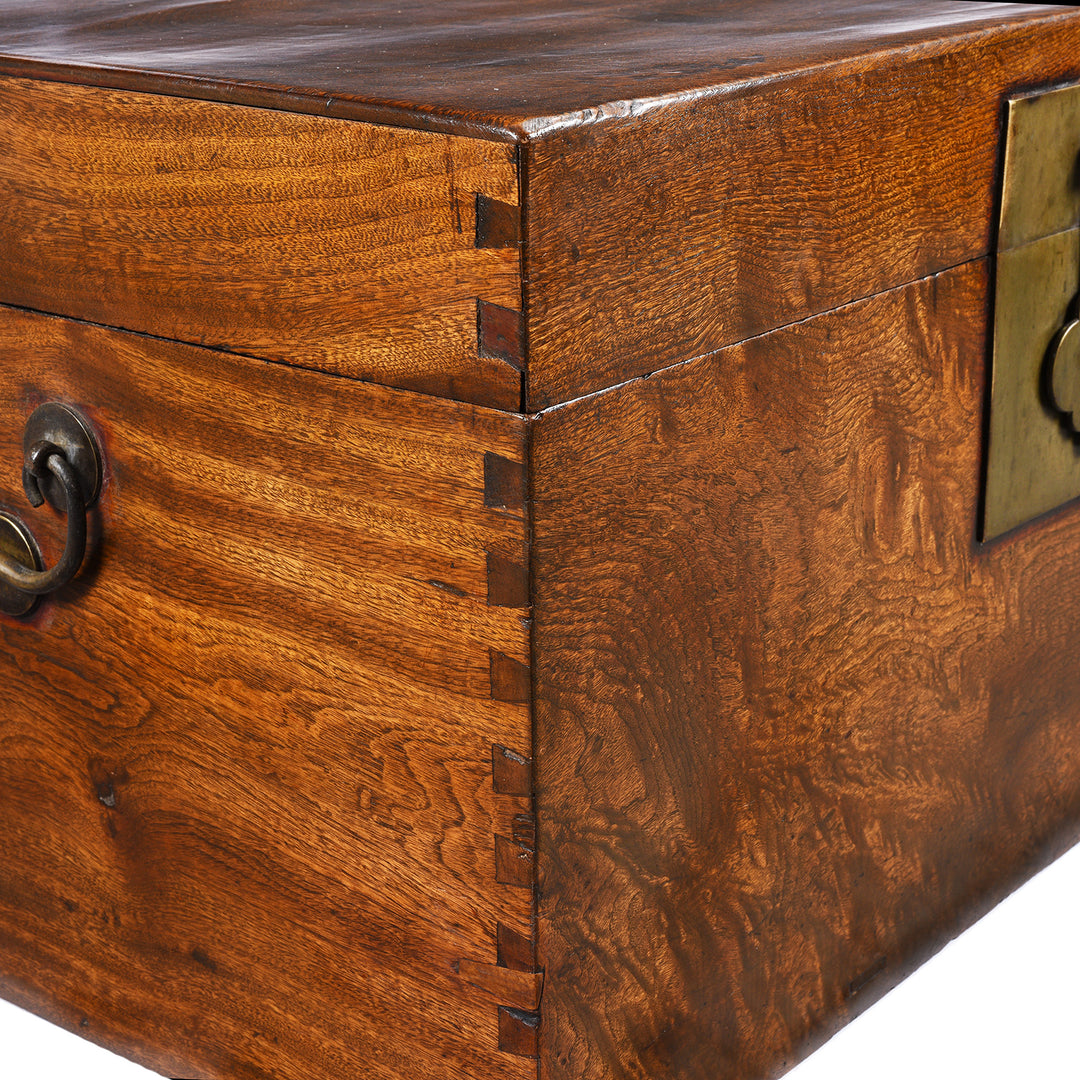 Corner Detail From Antique Chinese Camphor Chest From Tianjin - 19thC | Indigo Antiques