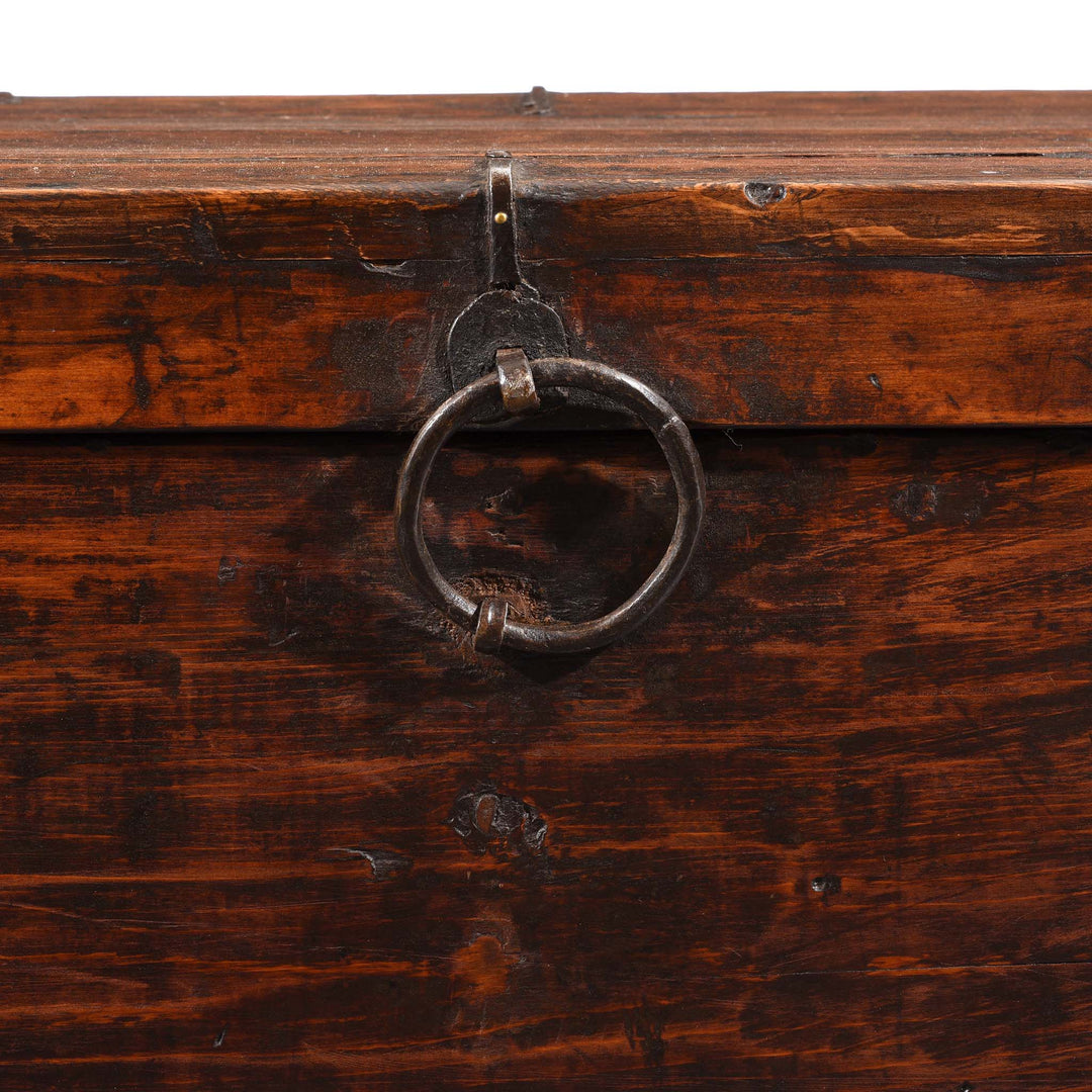Ring Detail from Painted Zeeba Chest From Tibet - Late 18thC | Indigo Antiques