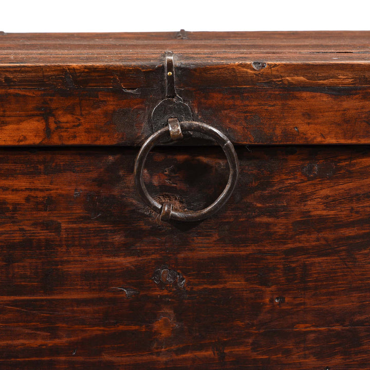 Ring Detail from Painted Zeeba Chest From Tibet - Late 18thC | Indigo Antiques