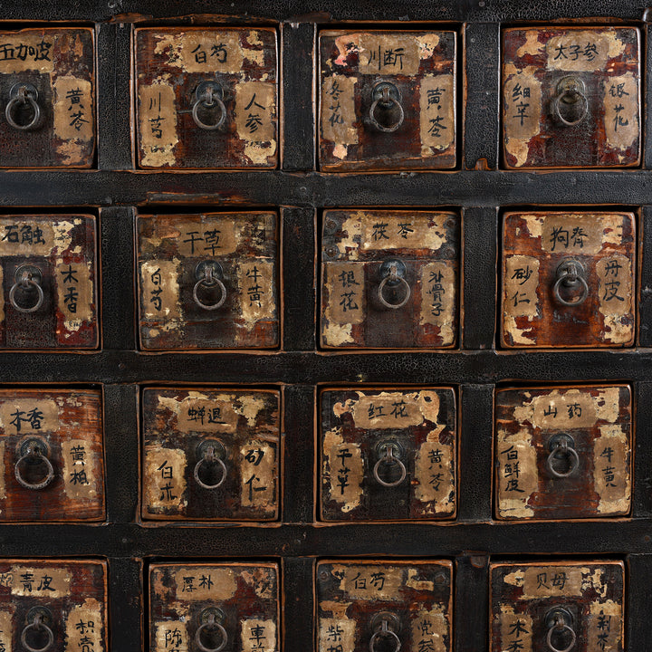 Detail From Antique Painted Apothecary Chest From Shanxi Province - 19th Century | Indigo Antiques