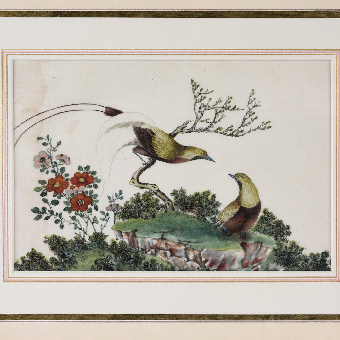 Framed Chinese Watercolour of Birds on Pith Paper - 19th Century