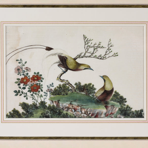 Framed Chinese Watercolour of Birds on Pith Paper - 19thC