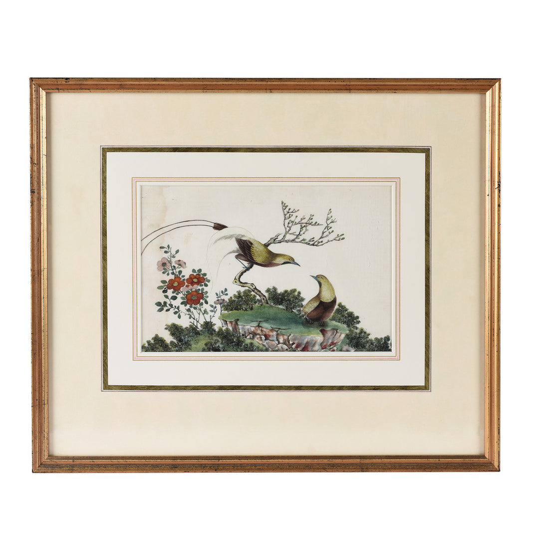 Framed Chinese Watercolour of Birds on Pith Paper - 19th Century
