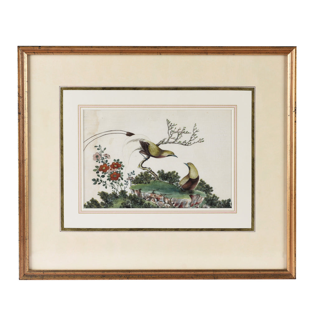Framed Chinese Watercolour of Birds on Pith Paper - 19thC
