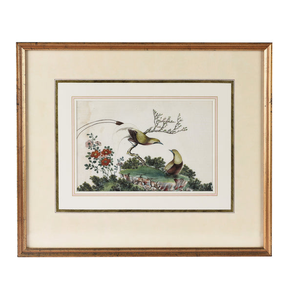 Framed Chinese Watercolour of Birds on Pith Paper - 19thC