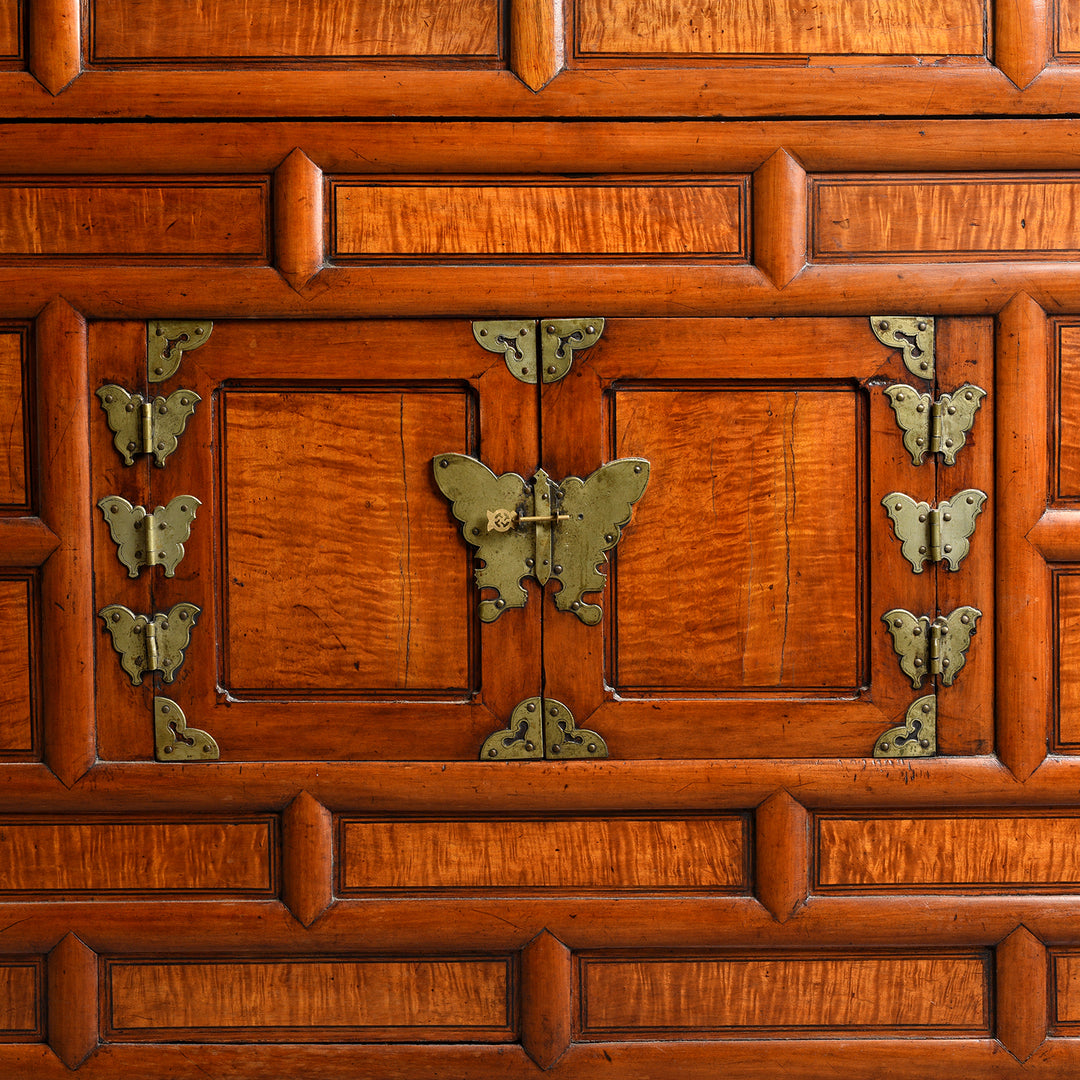 Detail From Korean Ich'Ung Jang Cabinet on Stand - 19thC | Indigo Antiques