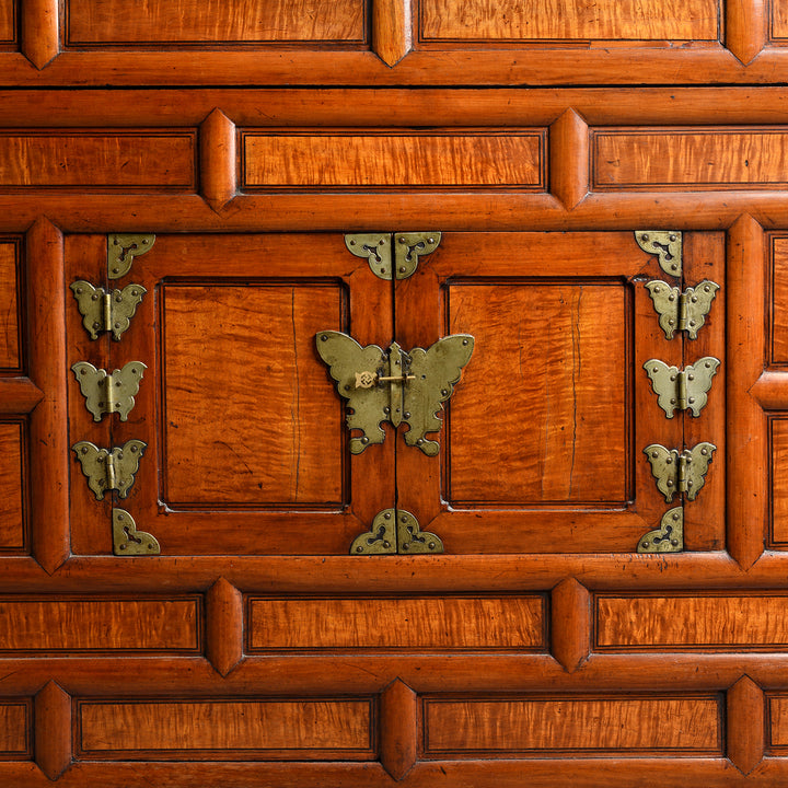 Detail From Korean Ich'Ung Jang Cabinet on Stand - 19thC | Indigo Antiques