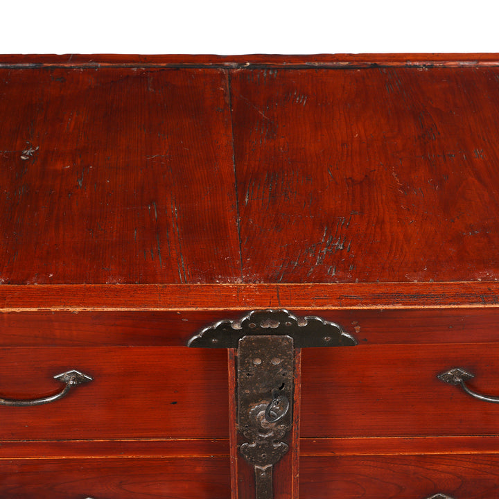 Surface Top Detail From Japanese Kiri Bo Dansu Cabinet - Meiji Period - Ca 1880 | Indigo Antiques
