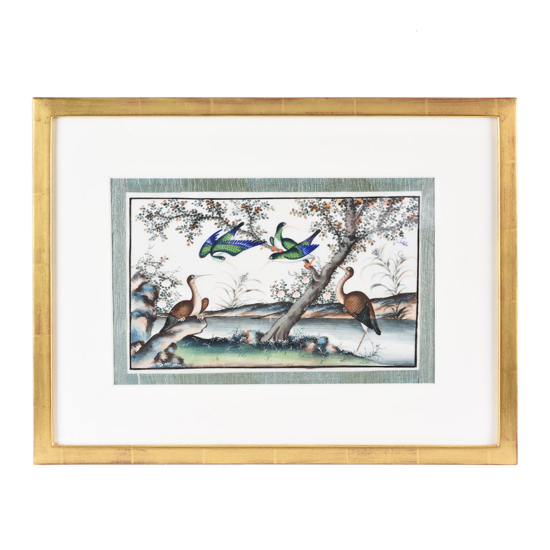 Framed Watercolour Painting of Birds on Pith Paper - 19thC I Indigo Antiques
