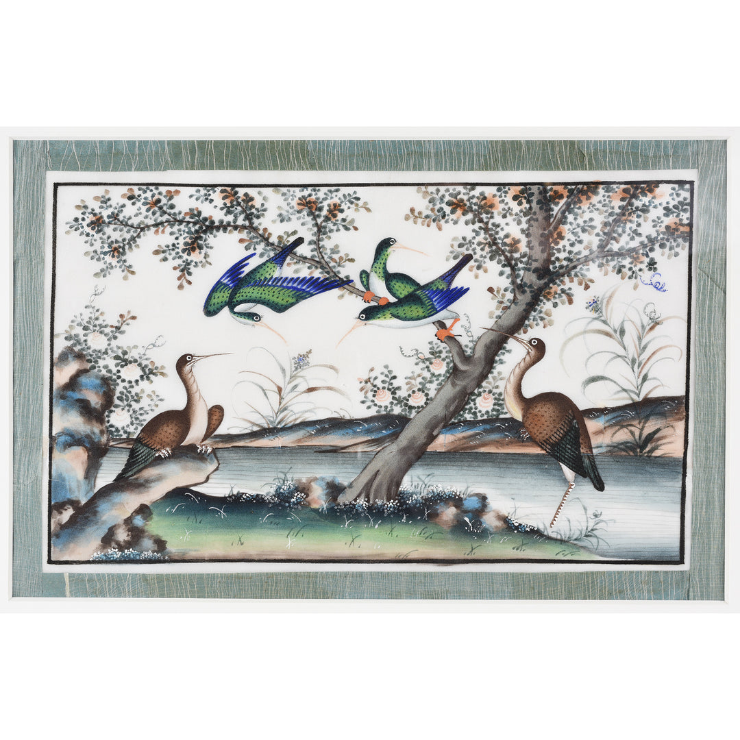 Framed Watercolour Painting of Birds on Pith Paper - 19thC I Indigo Antiques
