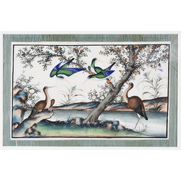 Framed Watercolour Painting of Birds on Pith Paper - 19thC