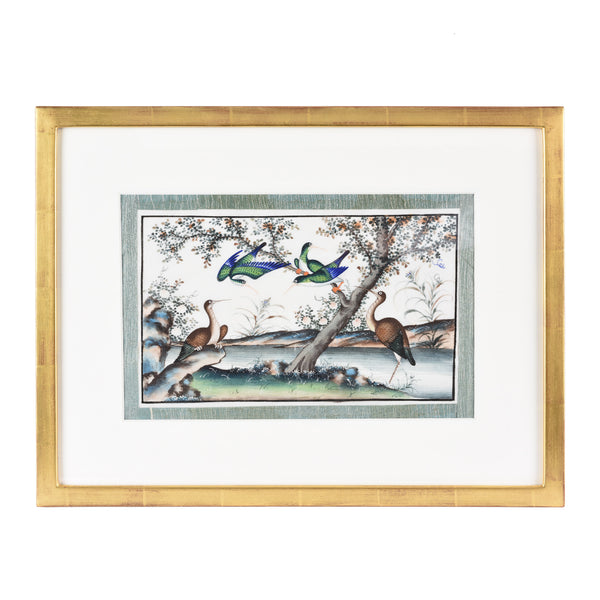 Framed Watercolour Painting of Birds on Pith Paper - 19thC