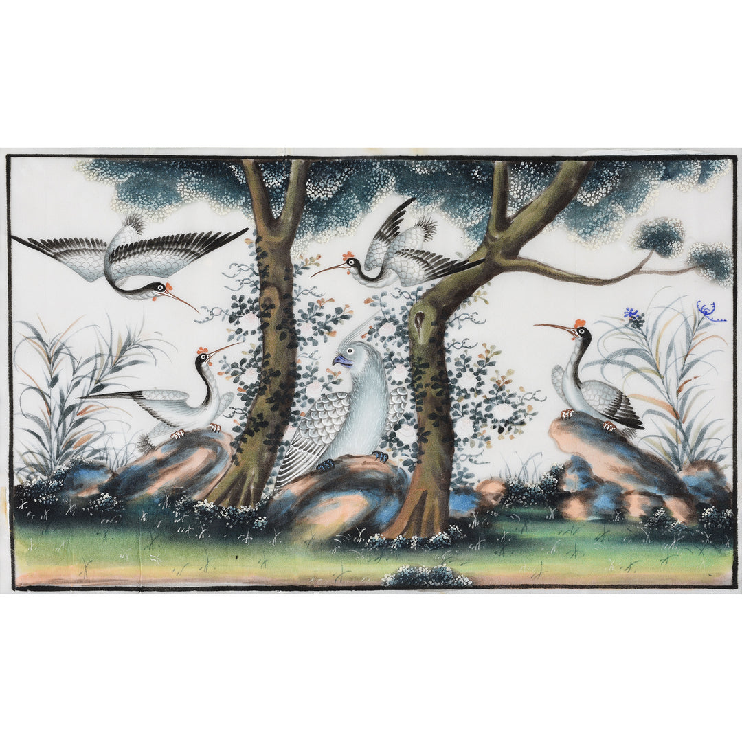 Framed Watercolour Painting of Birds on Pith Paper - 19thC I Indigo Antiques