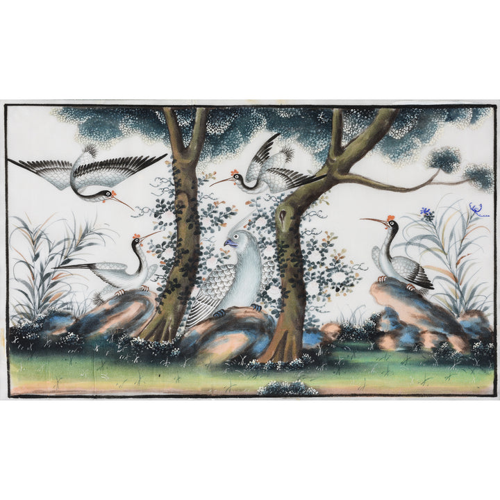 Framed Watercolour Painting of Birds on Pith Paper - 19thC I Indigo Antiques