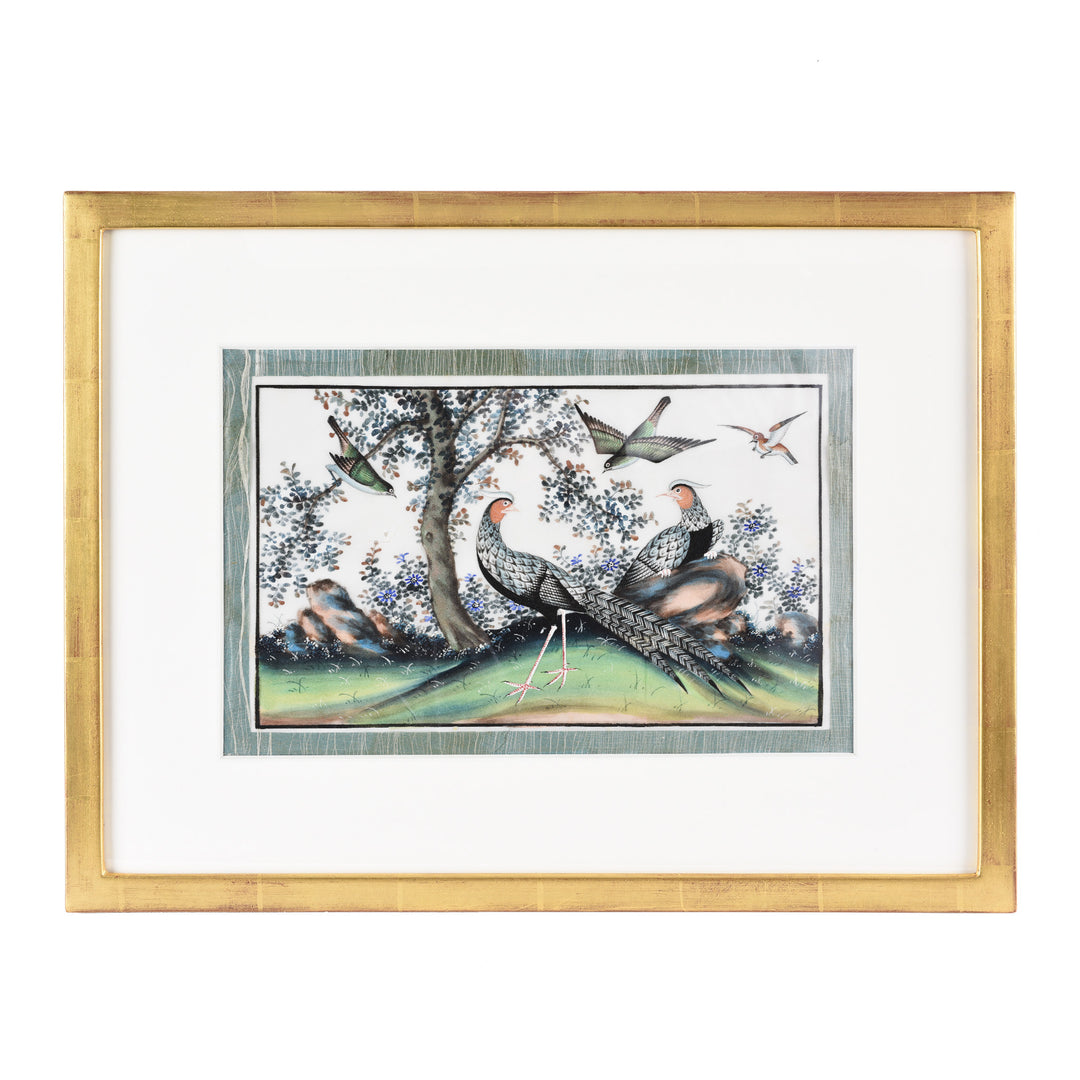 Framed Watercolour Painting of Birds on Pith Paper - 19thC I Indigo Antiques