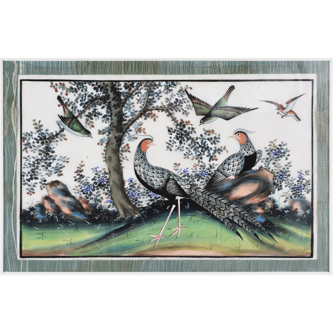Framed Watercolour Painting of Birds on Pith Paper - 19thC I Indigo Antiques