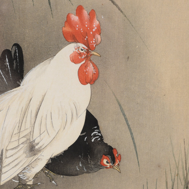 Detail Of Old Japanese Woodblock Print of Chickens By Ohara Koson | Indigo Antiques