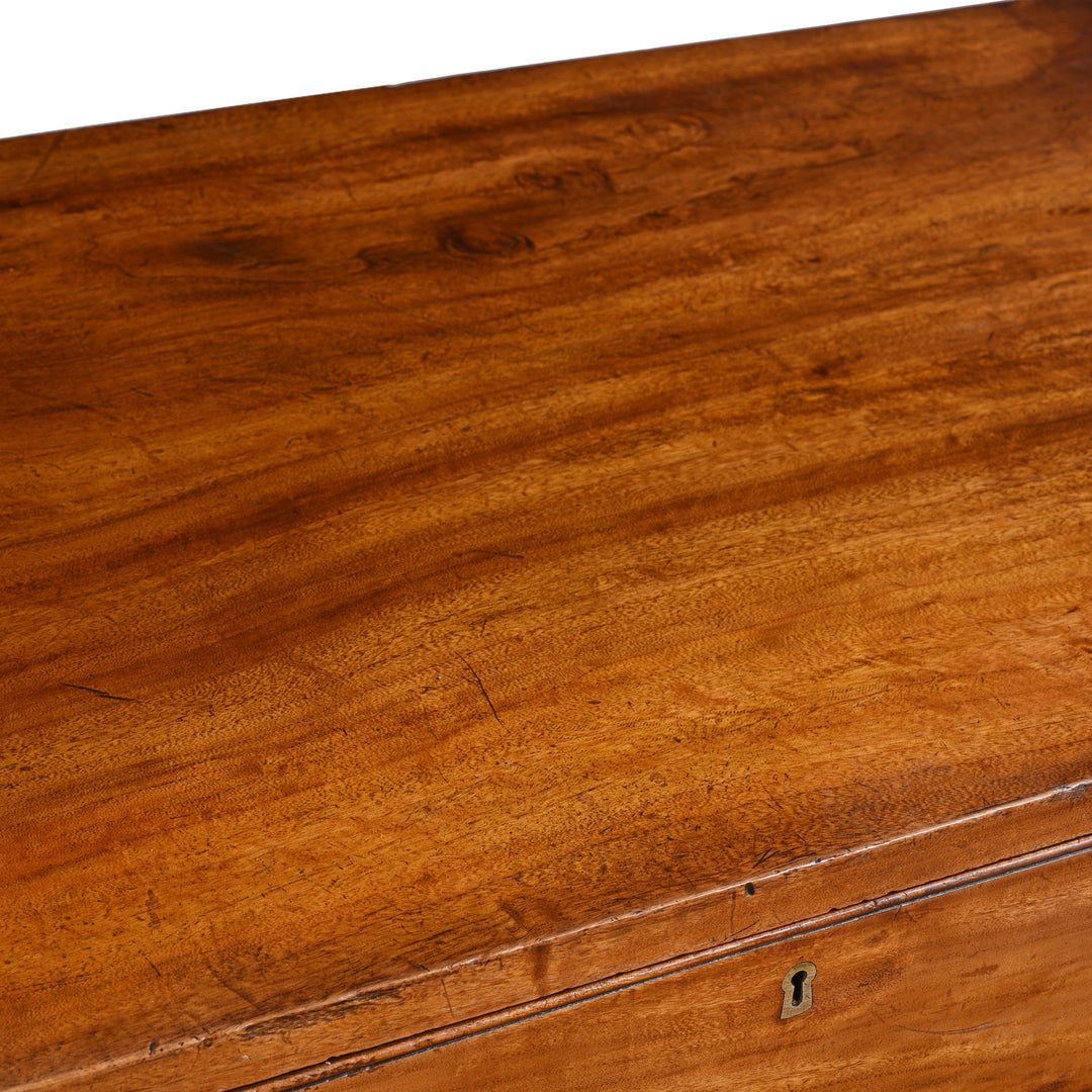 Surface Of Anglo Indian Camphor Campaign Chest Of Drawers - 19thC | Indigo Antiques