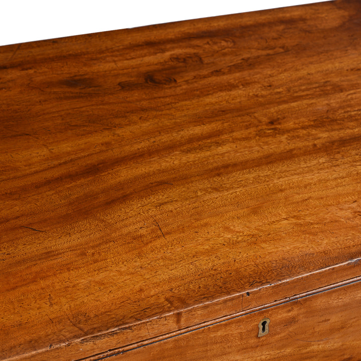 Surface Of Anglo Indian Camphor Campaign Chest Of Drawers - 19thC | Indigo Antiques