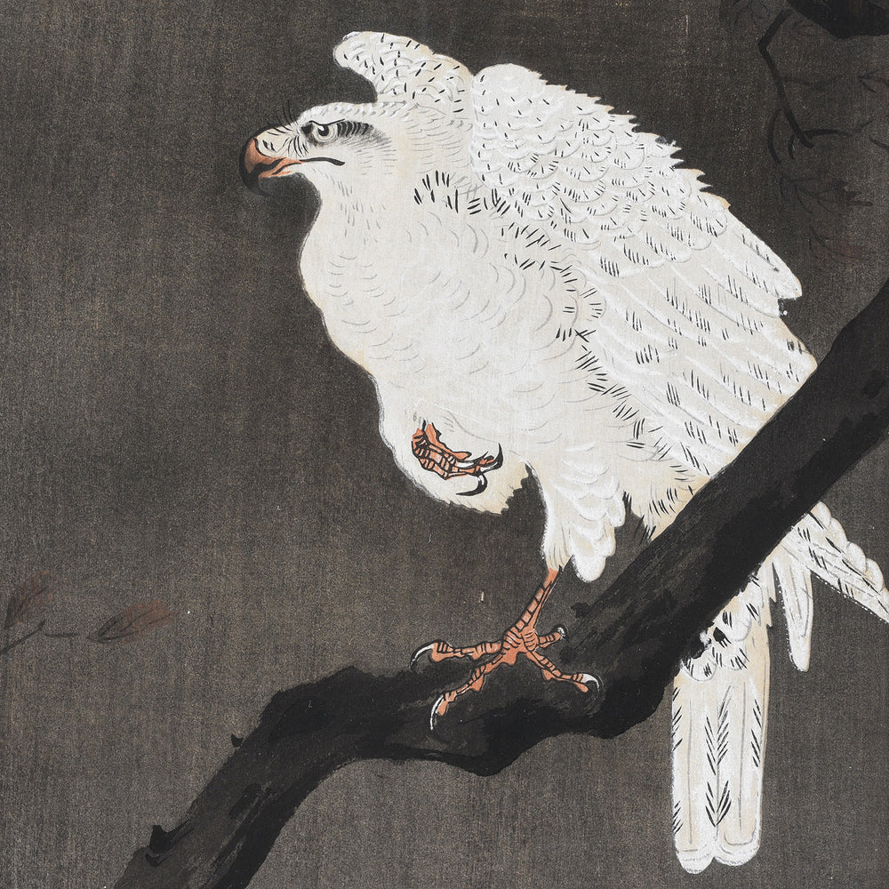 Eagle Detail From Antique Framed Eagle Japanese Woodblock Print By Ohara Koson | Indigo Antiques