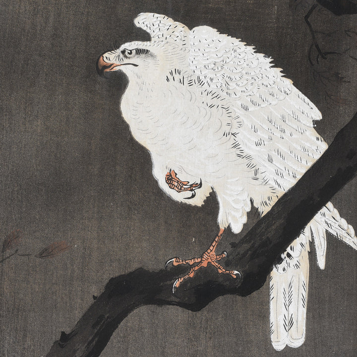Eagle Detail From Antique Framed Eagle Japanese Woodblock Print By Ohara Koson | Indigo Antiques
