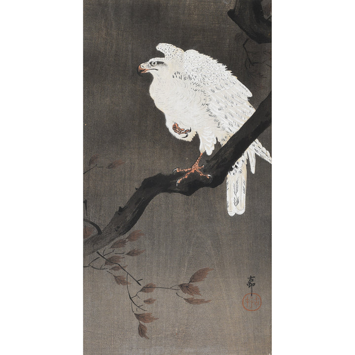 Antique Framed Eagle Japanese Woodblock Print By Ohara Koson | Indigo Antiques