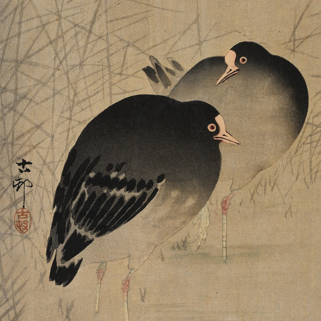 Detail From Framed Japanese Woodblock Print Of Moor Hens By Ohara Koson - Early 20thC | Indigo Antiques