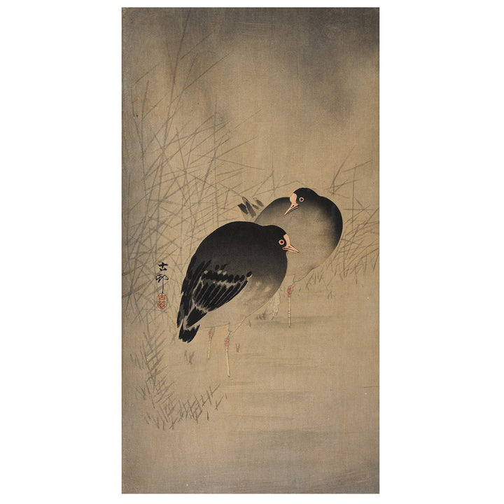 Framed Japanese Woodblock Print Of Moor Hens By Ohara Koson - Early 20thC | Indigo Antiques