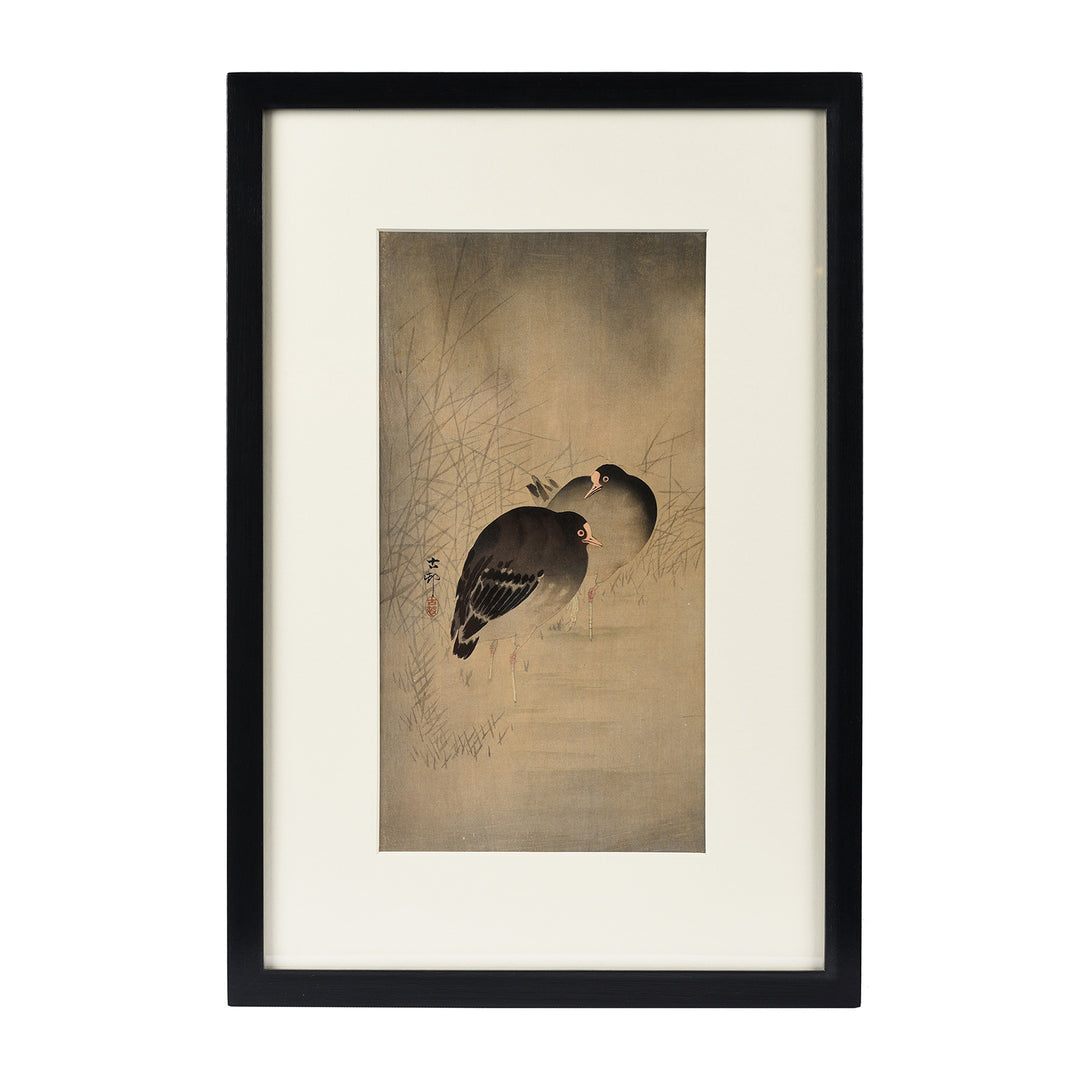 Framed Japanese Woodblock Print Of Moor Hens By Ohara Koson - Early 20thC | Indigo Antiques