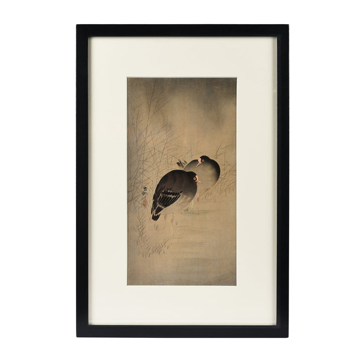 Framed Japanese Woodblock Print Of Moor Hens By Ohara Koson - Early 20thC | Indigo Antiques