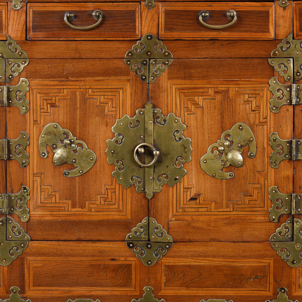 Detail From Korean Ich Ung Jang Cabinet - Elm & Cryptomeria - Late 19thC | Indigo Antiques