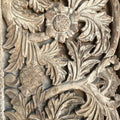 Carved Teak Door & Frame - 19thC