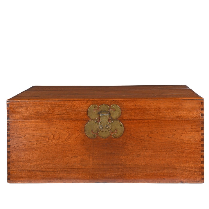 Chinese Camphor Trunk from Tianjin - 19thC | Indigo Antiques