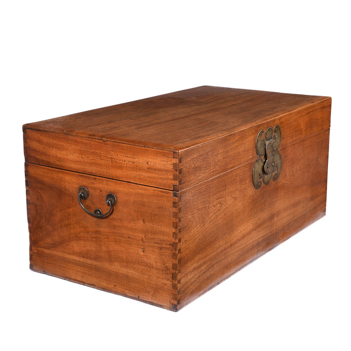 Side detail from a Antique Chinese Camphor Trunk from Tianjin - 19thC | Indigo Antiques