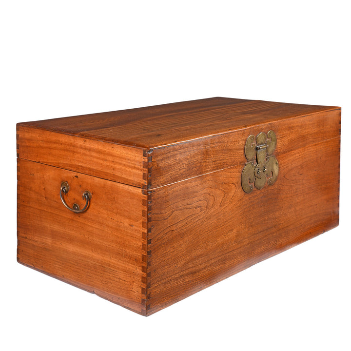 Side detail from a Antique Chinese Camphor Trunk from Tianjin - 19thC | Indigo Antiques