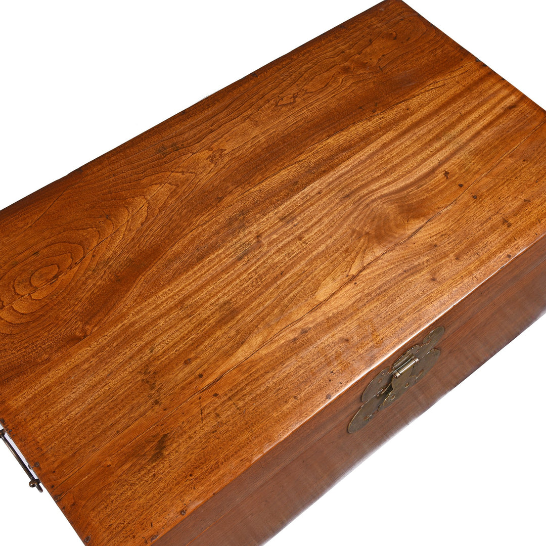 Top detail from a Chinese Camphor Trunk from Tianjin - 19thC | Indigo Antiques