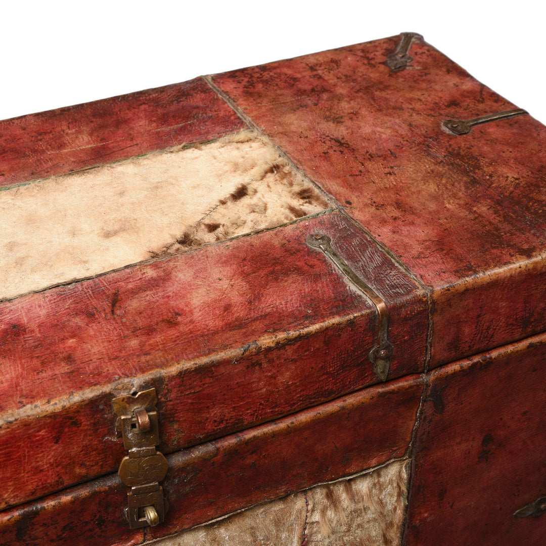 Antique Tibetan Yak Leather & Snow Leopard Skin Trunk from Tibet - 19thC