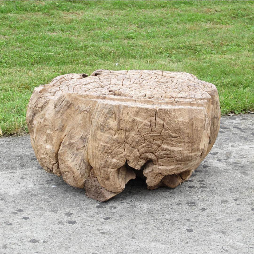 Old Root Sculpture For Coffee Table Ca 100 Yrs Old | Indigo Oriental Antiques